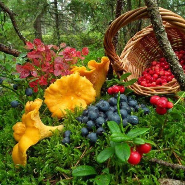 Конец августа