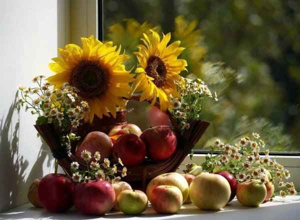 Августовский натюрморт