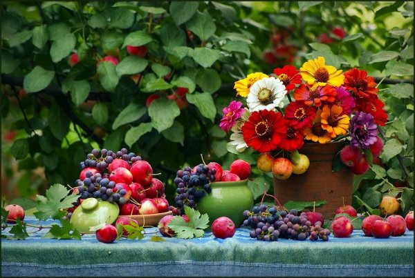 В саду цветы и ягоды