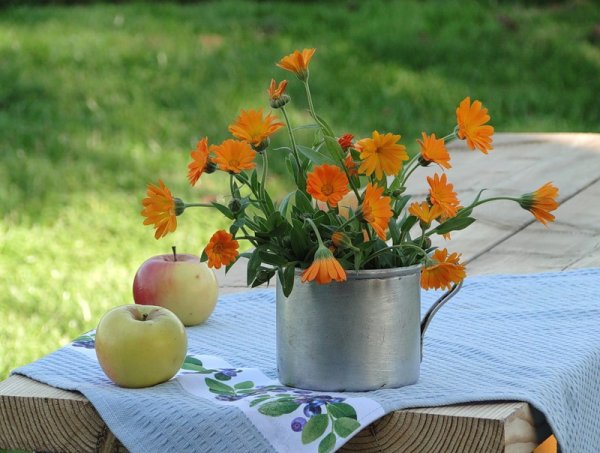 Август конец лета