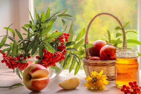 Яблочный спас и медовый спас натюрморт