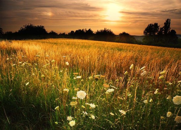 Луга Удмуртии