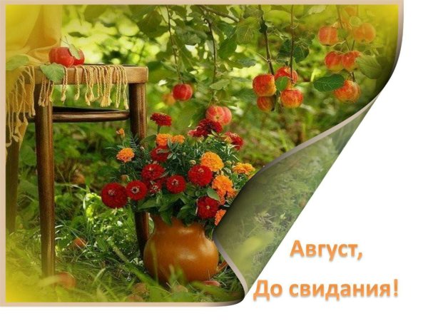 Добрый августовский день уходящего лета