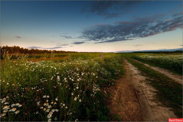 Летом Луга Оренбуржье
