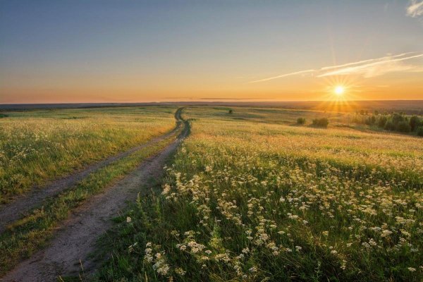 Поля Белгородской области