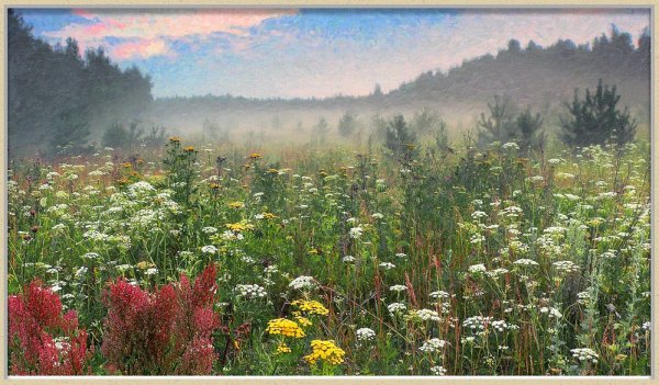 Осеннее разнотравье