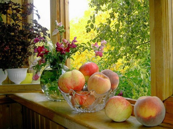Яблоки на окне