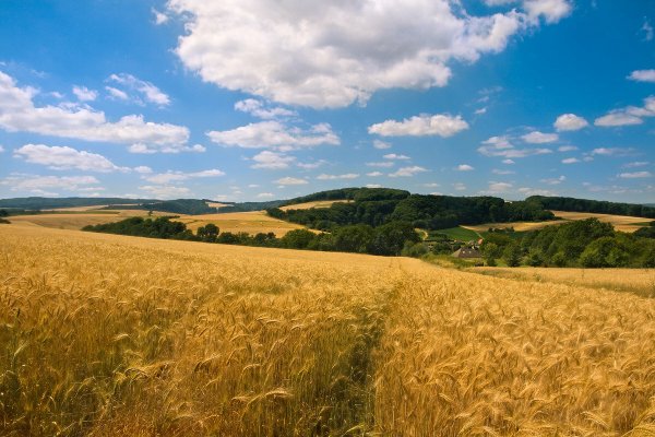 Деревенские тропинки Марий Эл