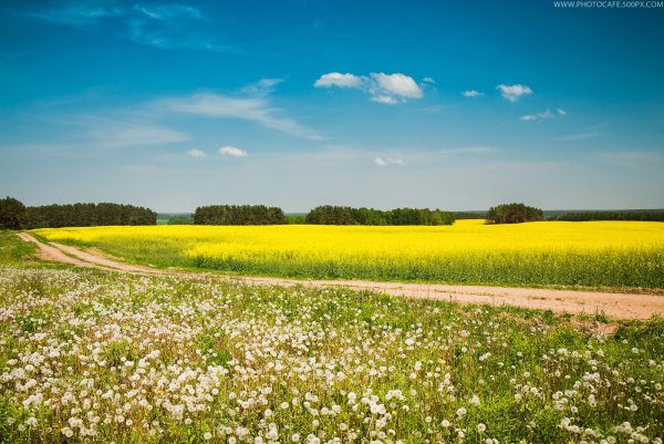 Пойменные Луга Тверской области