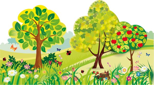 Шторы Березовая роща в леомакс