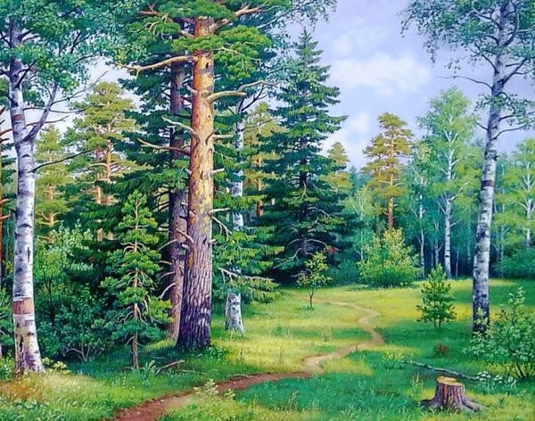 Сказочный лес для детей