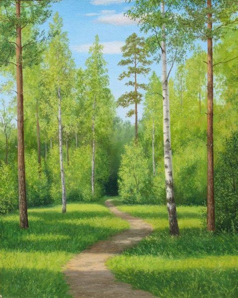 Лес из сказки