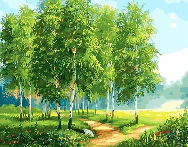 Лесная опушка тропинка