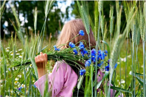 Девушка с васильками