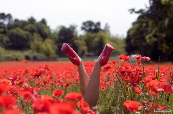 Наслаждайтесь летом