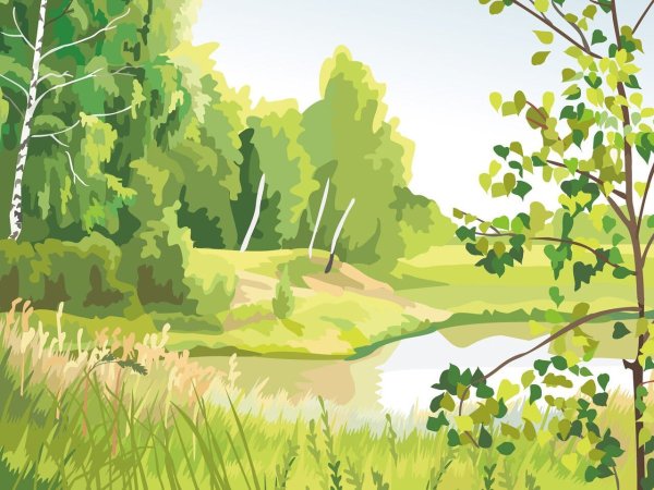 Сказочная Полянка в лесу