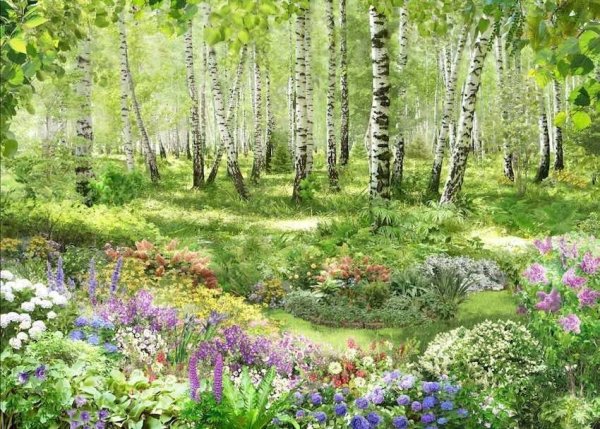 Киржачский район хвойные леса