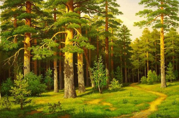 Пейзаж с березами