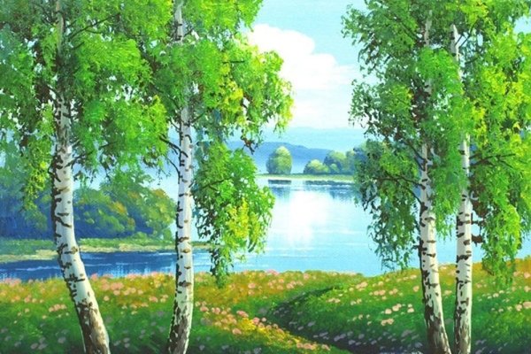 Картины по номерам Березовая роща