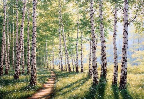 Художник Самарская Елена Михайловна березы