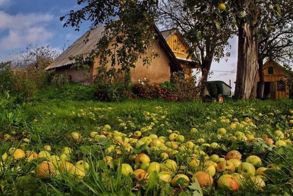 Август пейзаж