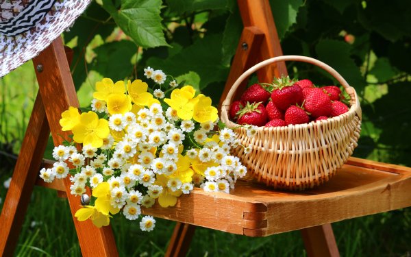 Летнее настроение