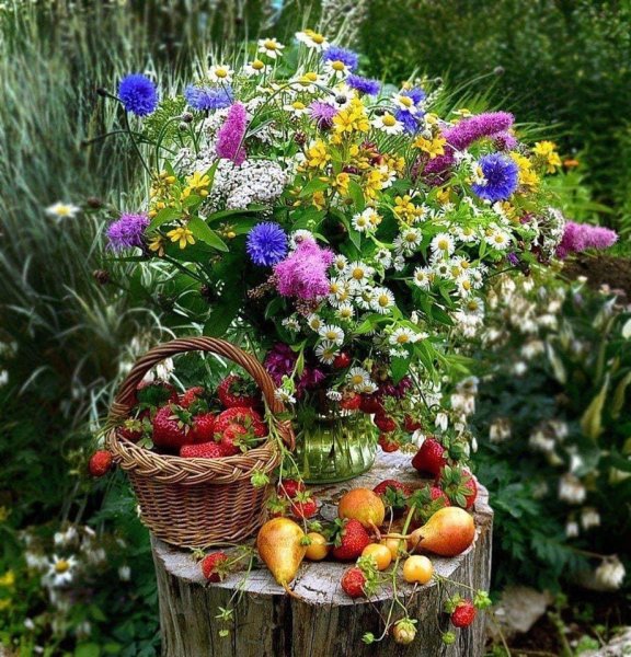 Здравствуй, август величавый! Здравствуй, барин-господин!