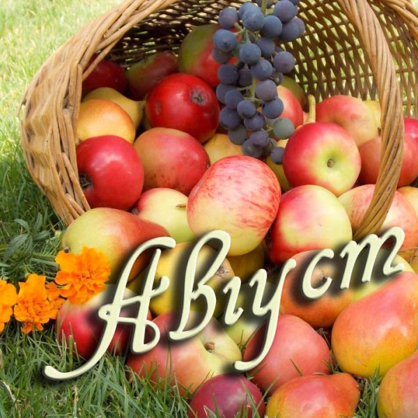 Август надпись