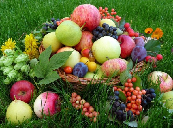 Месяц август природа