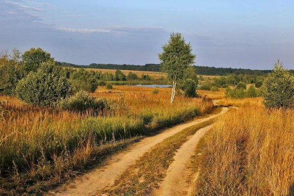 Деревня природа Проселочная дорога