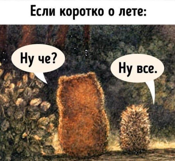 Открытки про лето прикольные