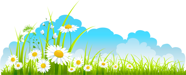 Полянка на белом фоне