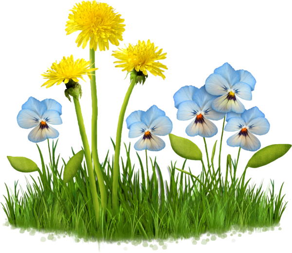 Трава с цветами на прозрачном фоне