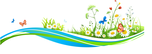 Летние цветы на прозрачном фоне