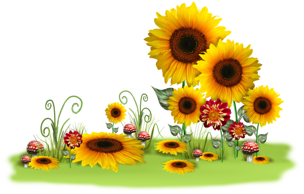 Летний клипарт на прозрачном фоне