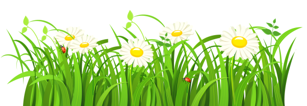 Травка рисунок