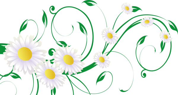 Орнамент ромашки