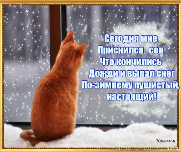 Приколы про снег