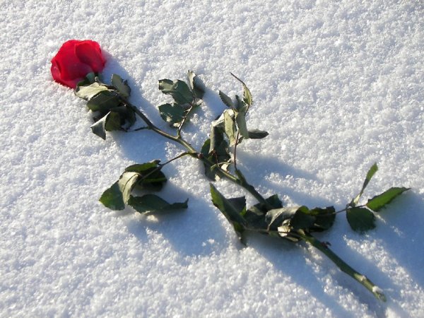 Небольшой снег