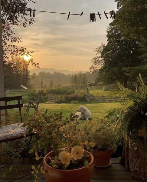 Деревня Эстетика Пинтерест