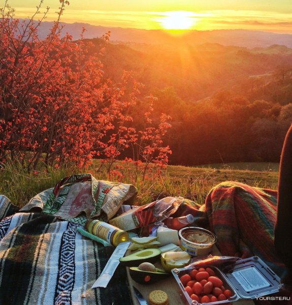 Пикник на закате