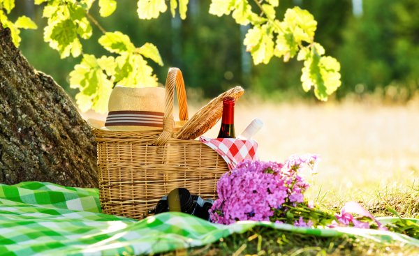 Пикник на природе