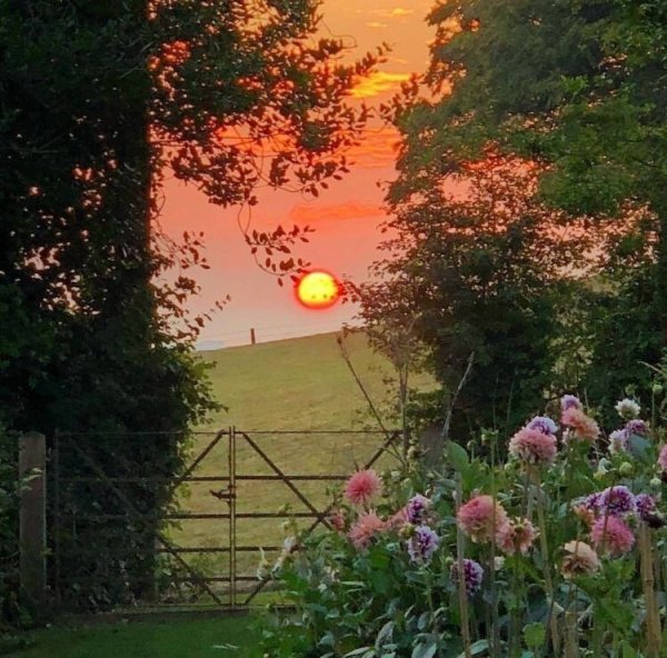 Эстетика природы