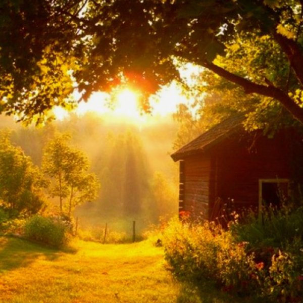 Солнце в деревне