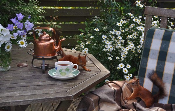 Чаепитие на веранде на фоне природы