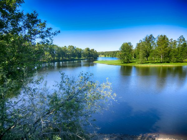Летняя природа деревья речка горы