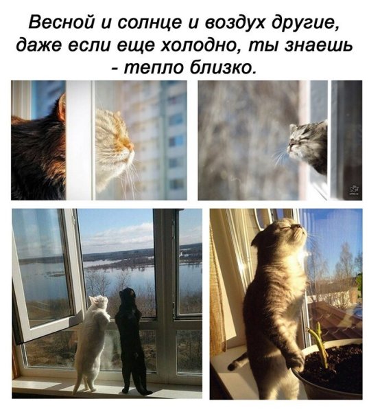 Держитесь скоро лето