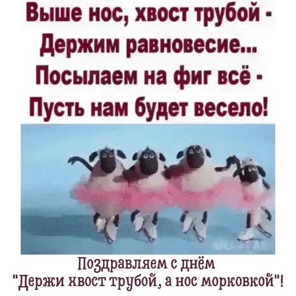 Жизнь прекрасна приколы
