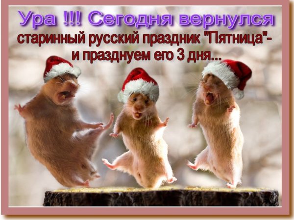 Доброе утро Ежик и Медвежонок