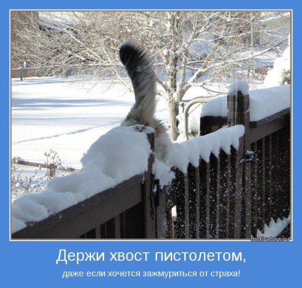 Пожелания не мерзнуть прикольные